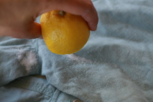 flackar-salt-citron